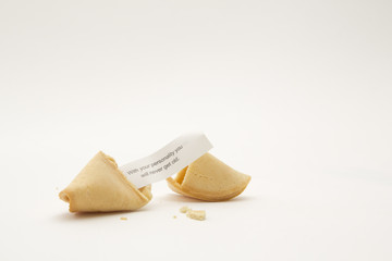 Message in Fortune Cookie