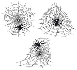 Obraz premium Toiles d'araignées avec araignées