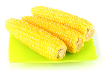 boiled corn isolated on white on the green plate