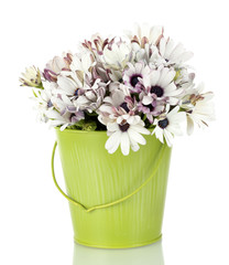 bouquet of beautiful summer flowers in bucket, isolated on