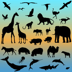 vector set of animals collection