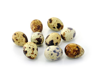 quail eggs on white background
