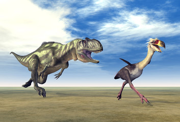 Fototapeta premium Yangchuanosaurus und Phorusrhacos