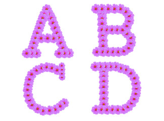 Alphabet A B C D, Cosmos flower alphabet isolated on white
