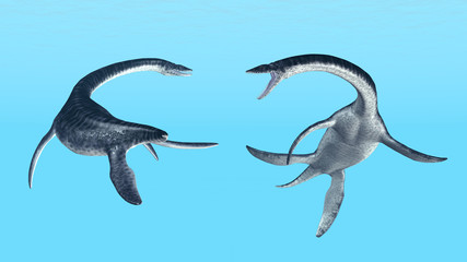 Plesiosaurus