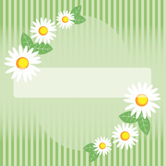 Seamless spring chamomile on green striped background