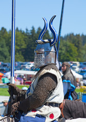 Medieval knight