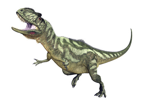 Dinosaur Yangchuanosaurus
