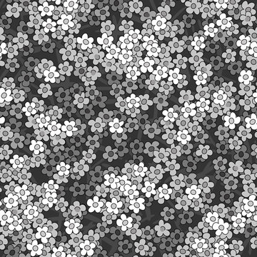 seamless small white flowers pattern background