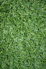 texture of turf