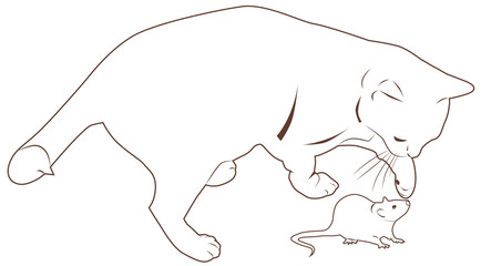cat plays with a mouse