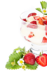 Pudding with fresh fruits on white