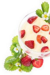 Vanilla Pudding with Strawberries on white