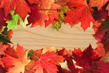 fall leafs over wooden board