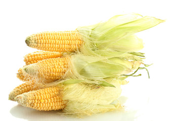fresh corn, isolated on white