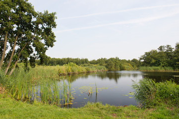 Fototapeta na wymiar Krajobraz wody w Holandii
