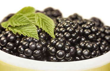 blackberries