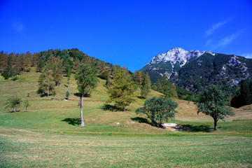 Tolminska Migovec, Slovenia
