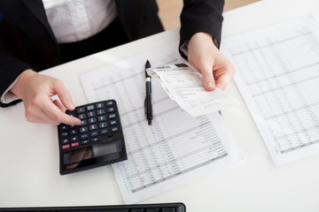 Cheerful accountant businesswoman
