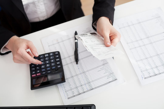 Cheerful accountant businesswoman