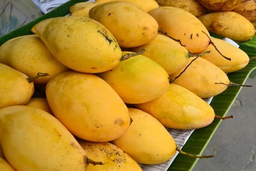 ripe mango