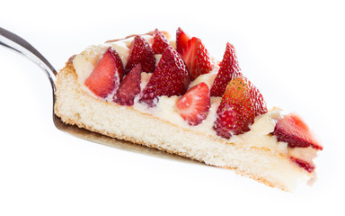 Cake Lifter with piece of Pie