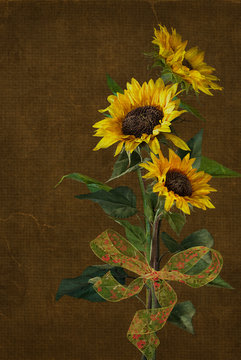 Sunflower Bouquet With Bow