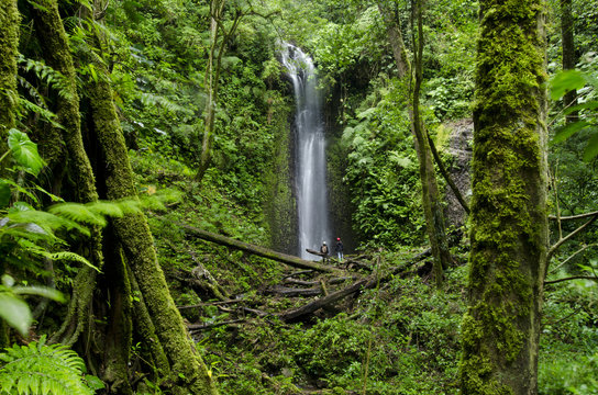 Fototapeta Waterfall at cloud forest, La Amistad international park, Chiriqui province, Panama, Central America