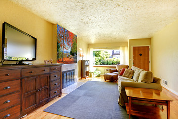 Living room with grey rug, yellow walls and TV on large dresser.