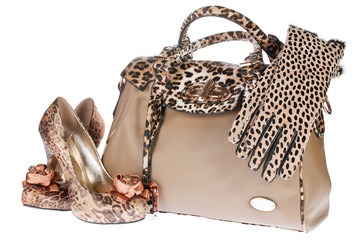 Leopard bag, shoes and gloves