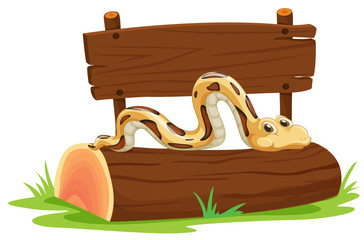Fototapeta premium Snake