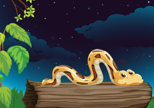 Snake