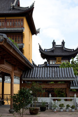 Fototapeta premium Tempel auf Zhoushan
