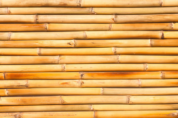 Bamboo texture