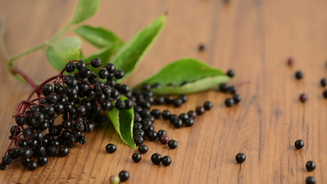 Holunderbeeren fallen auf einen Tisch