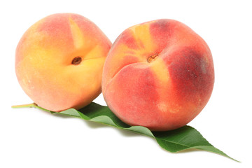 Pêches