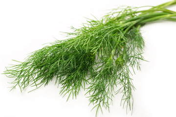 Fresh green dill on white