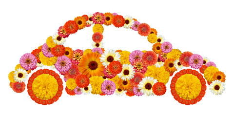 Floral car shape