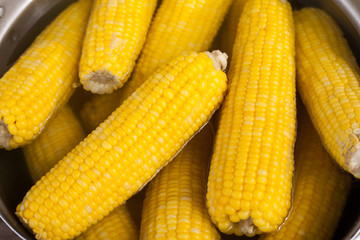 boil corn