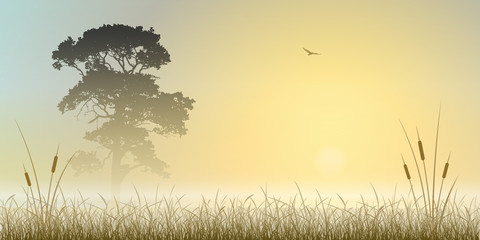 A Misty Sunrise, Sunset Landscape with Tree and Reeds