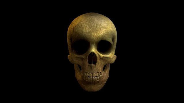 Laughing 3D Skull Loop
