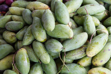 fresh green mango thailand fruit