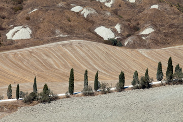 Crete Senesi - The landscape of the  Tuscany. Italy