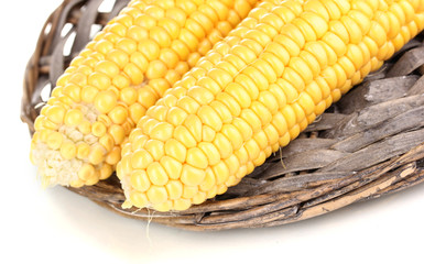 Fresh corn cobs on wicker mat isolated on white