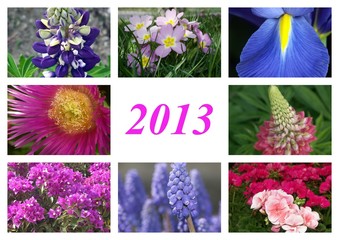 2013