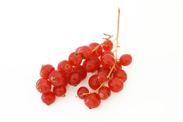 sementes vermelhas 01