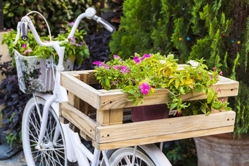 Fototapeta na wymiar Decorated flowers on a bicycle