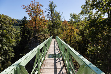 Fototapeta na wymiar Brücke in den Wald