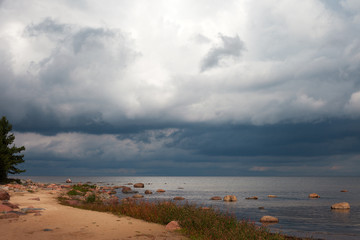 Coast of Baltic sea, Mersrags,  Latvia.