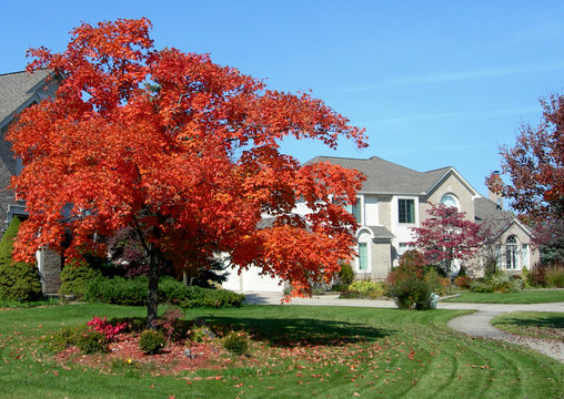 House in a subdivision and landscape in autumn